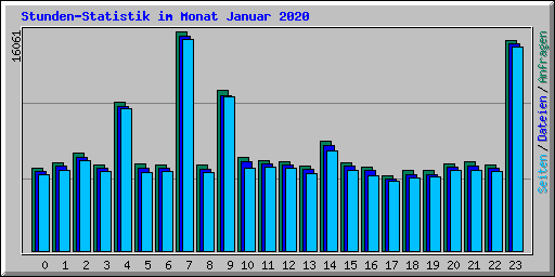 Stunden-Statistik im Monat Januar 2020